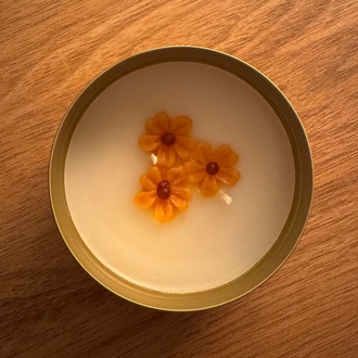 Bidünyakitap Vanilya Kokulu Mum (Teneke)