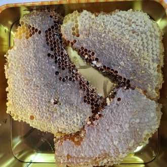 Ağaç balı net 1 kg.