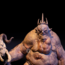 Hobbit / Goblin Kral