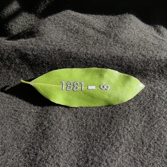 1881