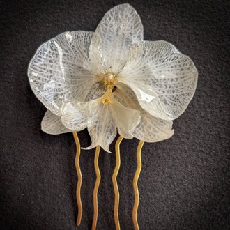 SPOSA