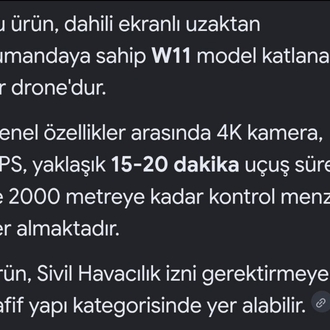 W11 Drone