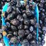 2 Kg Gemlik Yağlı Sele Siyah Zeytin
