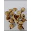1 Kg 90-100 Adetli (bebe) Dağ İnciri