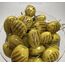 1 Kg İri Boy Yeşil Izgara Zeytin