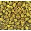 1 Kg İri Boy Yeşil Izgara Zeytin