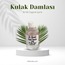 Dr. Boraks Kulak Damlası 