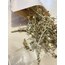 Pelin Otu 25 g