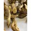 Karamük Kökü (Kadın Tuzluğu Kökü) 30 g 
