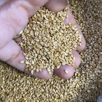 Manavgat Susamı 250 g 