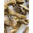 Karamük Kökü (Kadın Tuzluğu Kökü) 30 g 