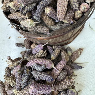 Karabaş Otu 35 g