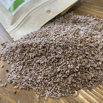 Karnıyarık Otu Tohumu 100 g