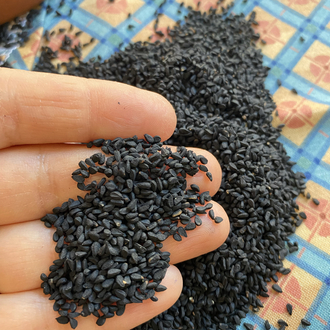 Çörekotu Tohumu 250g