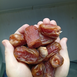 sugai hurma