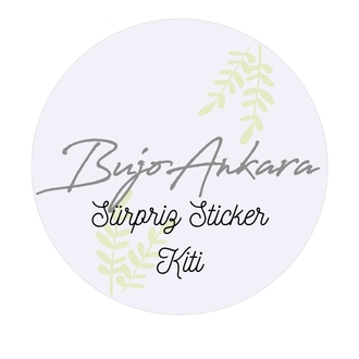 Sürpriz Sticker Kiti