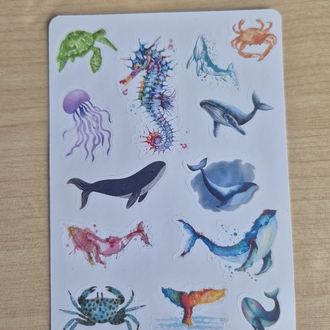 Okyanus Canlıları Sticker Sayfası