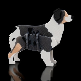 Avustralya Çoban Köpeği (Australian Shepherd) 3D Maket