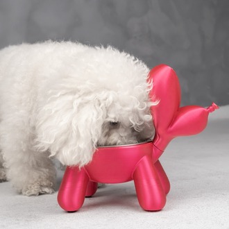Balon Köpek Mama Kabı