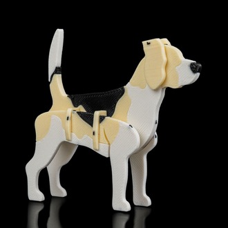 Beagle Köpeği 3D Maket | Sevimli Koleksiyon Figürü