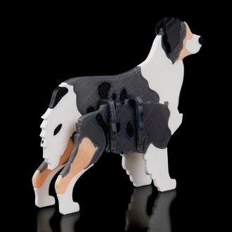 Avustralya Çoban Köpeği (Australian Shepherd) 3D Maket