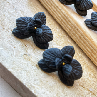 Orkide “Black “