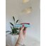 Lip Balm Su Yeşili Telefon Kabı