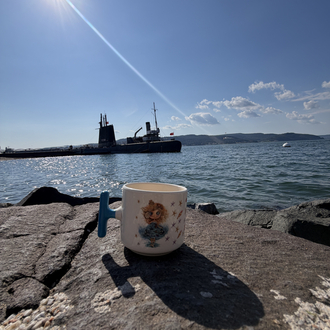 Deniz
