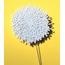 Dandelion Büyük Yaka İğnesi