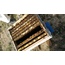 Propolis+Polen+Bal 2Kg