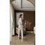 Orijinal Marka Paris Sweatshirt