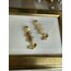 Gold sallantılı balık kılçık küpe