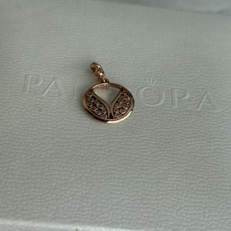 Pandr alevli kanatlı madalyon charm