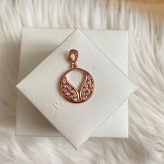 Pandr alevli kanatlı madalyon charm