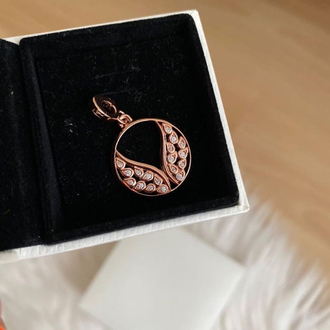 Pandr alevli kanatlı madalyon charm