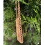 Bohem Phone Bag