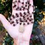 Clear Quartz 108 Mala Beads
