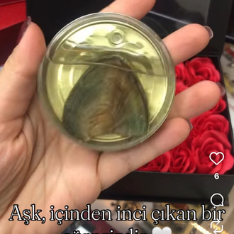 İstiridye kolye