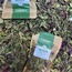 Melisa Çayı (Melissa officinalis) 20gr