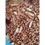 Yerli Cin Mısırı- 400 Gr