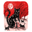 Black Cat \ Familiar Spirit   Schwarze Katze