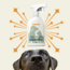 Köpek Koku giderici ve Leke Çıkarıcı  Sprey 500 ML.