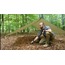 Tarp tente-branda