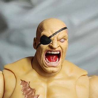 2 Sagat Head for jada toys (screaming and Cool expression)