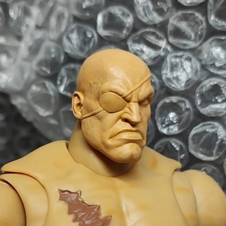2 Sagat Head for jada toys (screaming and Cool expression)