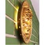 Medusa Aplik, Ø30 X H7 cm, 220v/6w Slim Led Spotlu