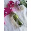 Victoria’s secret Tempting pear jasmine vücut spreyi