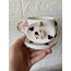 Mickey mouse mug