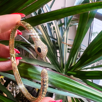 Snake