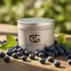 Blueberry · Essentiel